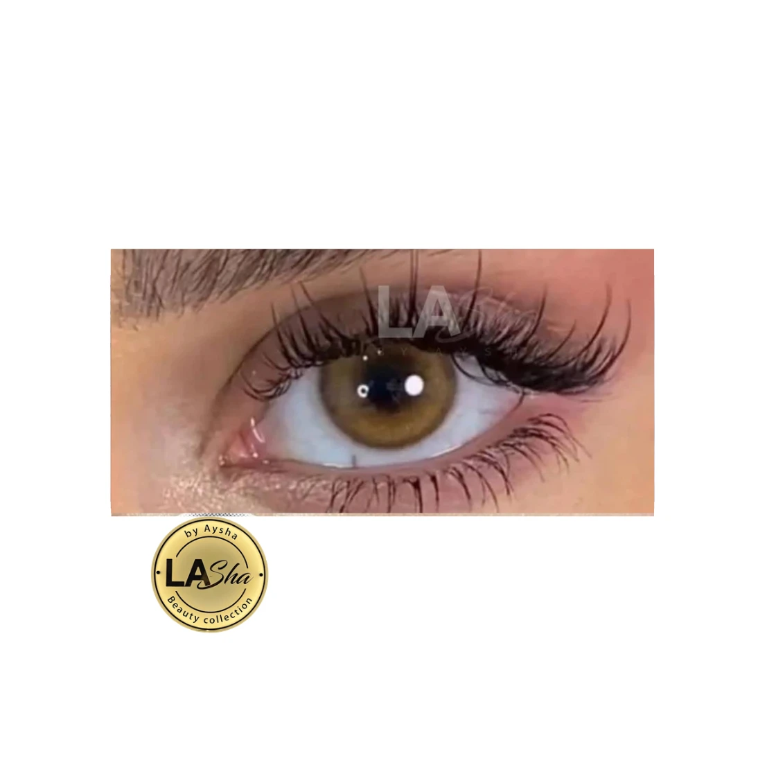 || LAsha|| عدسة زينة كراميل ملونة من لاشا الاصلية