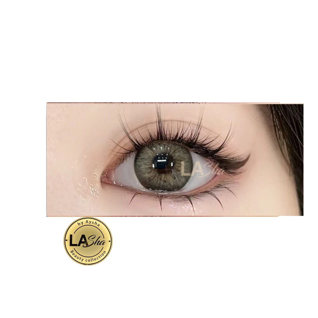 || LAsha|| عدسة زينة بني بري ملونة من لاشا الأصلية